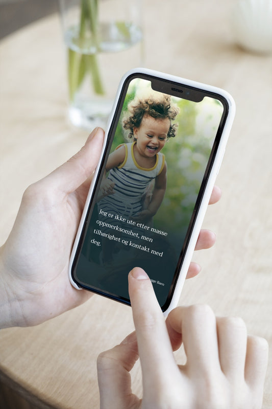 Støtt oss med et frivillig beløp 250kr